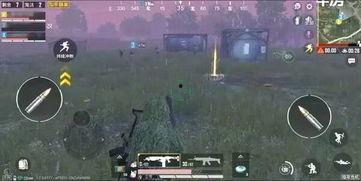 和平精英新爆料最新版,全新内容震撼来袭，战火升级再掀热潮！